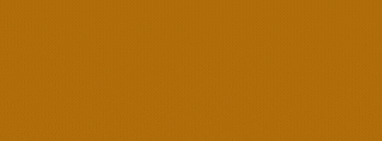 SILVERGOLD_BANNER_540X200PX_V2
